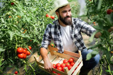 Sera içinde işte samimi yakışıklı çiftçi
