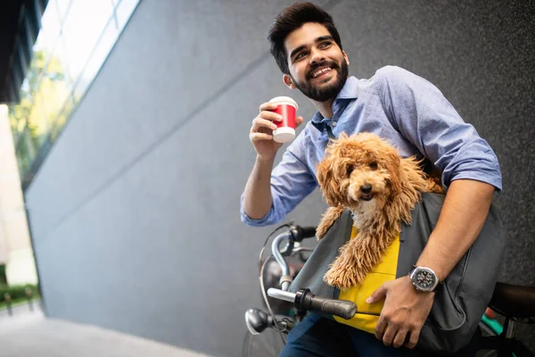 Όμορφος Νεαρός Επιχειρηματικός Άνθρωπος Στο Δρόμο Πίνοντας Καφέ Σκυλί — Φωτογραφία Αρχείου