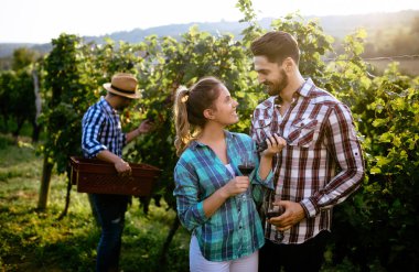 Örnekleme ve şarapları tatma insanlar