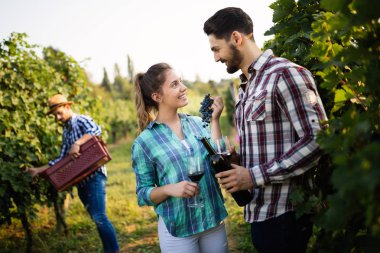 Örnekleme ve şarapları tatma insanlar