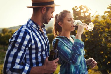 Aşık çift şarapçı bağda çalışıyor