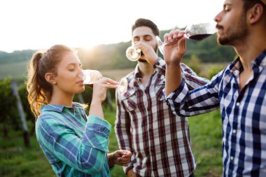 Örnekleme ve şarapları tatma insanlar