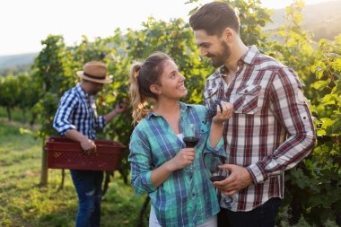 Örnekleme ve şarapları tatma insanlar
