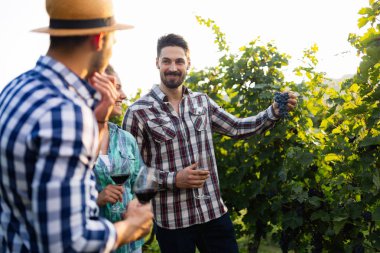 Örnekleme ve şarapları tatma insanlar