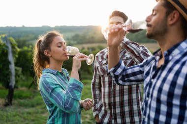 Örnekleme ve şarapları tatma insanlar
