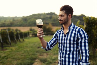 Mutlu winegrower yaz aylarında üzüm şarap tadımı