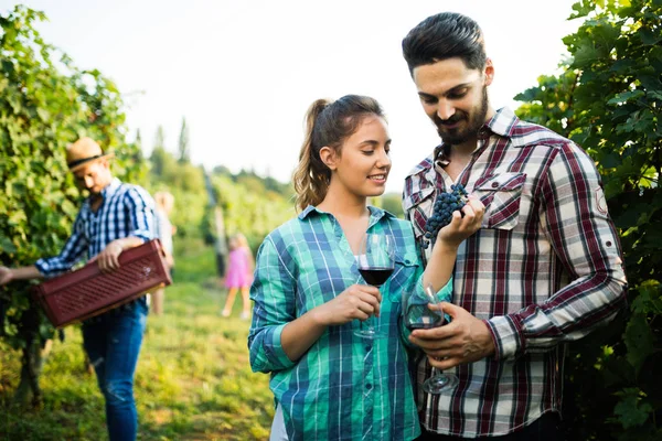 Människor provtagning och smaka viner — Stockfoto