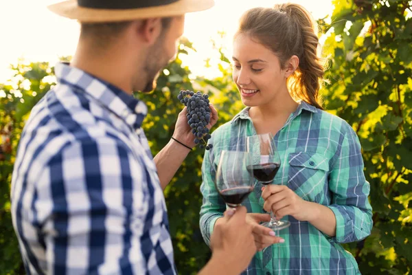 Coppia Innamorata Che Lavora Nel Vigneto Vitivinicolo — Foto Stock