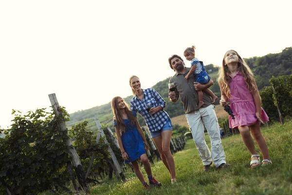 Winemaker ailede mutlu birlikte bağ hasat önce