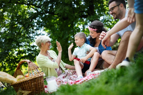 Família Feliz Multi Geração Desfrutando Piquenique Parque — Fotografia de Stock