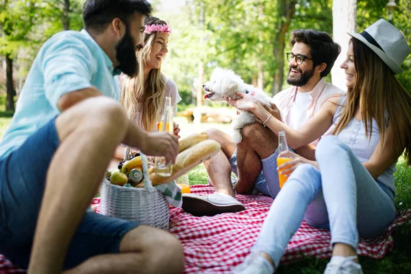 Boldog Fiatal Barátai Parkban Amelynek Piknik Egy Napsütéses Napon — Stock Fotó