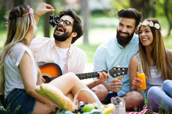 Amigos Divertindo Muito Piquenique Natureza — Fotografia de Stock