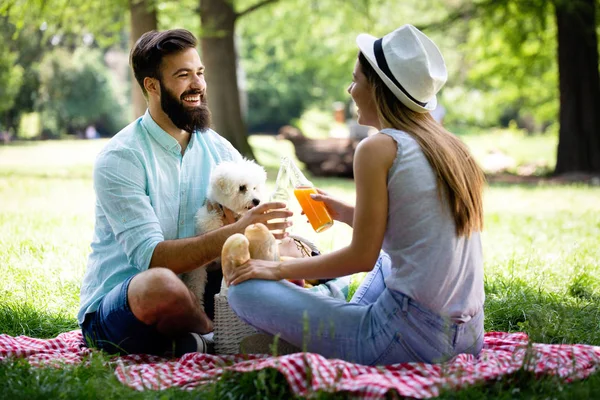 Стиль Жизни Счастливая Семья Отдыхает Пикнике Парке Собакой — стоковое фото