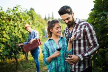 Örnekleme ve şarapları tatma insanlar
