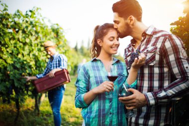 Örnekleme ve şarapları tatma insanlar