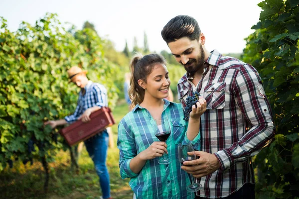 Örnekleme ve şarapları tatma insanlar