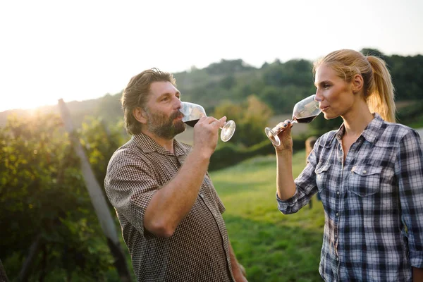 Glada Vinodlare Som Provar Vin Vingården — Stockfoto