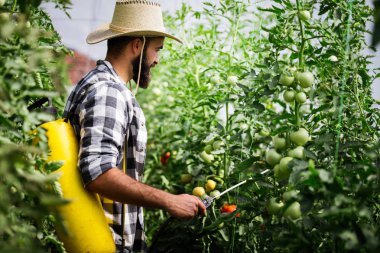 Genç çiftçi onun bitkilerin kimyasal madde ile koruma