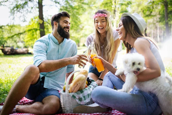 Счастливая Компания Друзей Расслабляющихся Веселящихся Пикнике Открытым Небом — стоковое фото