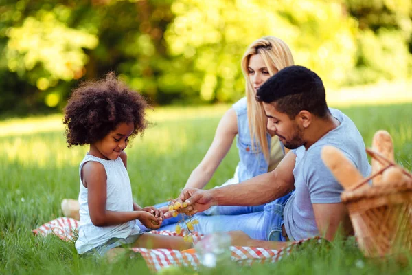 Familia Feliz Divirtiéndose Juntos Picnic —  Fotos de Stock