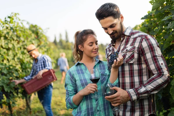 Människor provtagning och smaka viner — Stockfoto