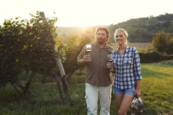 Vinodlare Familjen Smaka Vin Vingården Vingård — Stockfoto