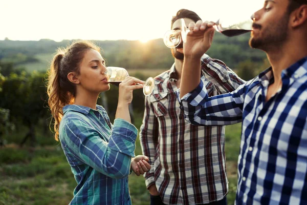 Människor provtagning och smaka viner — Stockfoto