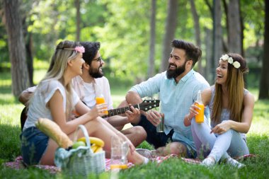 Güneşli bir günde piknik yapıyor parkta mutlu arkadaş grubu.