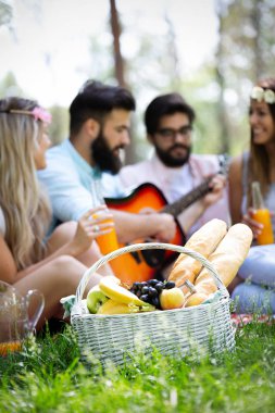 Güneşli bir günde piknik parkta Mutlu genç arkadaşlar.
