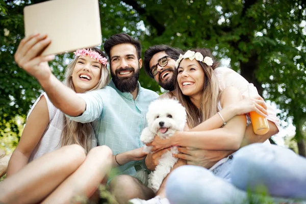 Gruppo Giovani Che Fanno Selfie All Aperto Picnic Divertirsi — Foto Stock