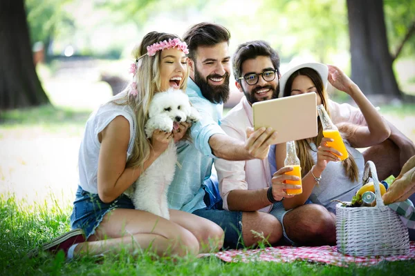 Felice Gruppo Amici Nel Parco Facendo Picnic Una Giornata Sole — Foto Stock