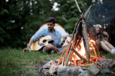 Mutlu arkadaşlar müzik çalıyor ve doğada şenlik ateşinin keyfini çıkarıyorlar.