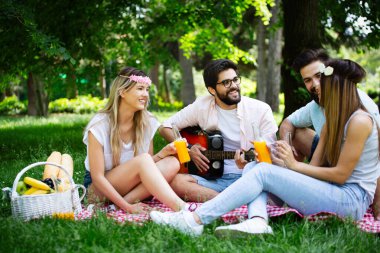 Güneşli bir günde piknik yapıyor parkta mutlu arkadaş grubu.