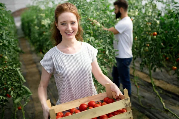 Young Glimlachend Landbouw Arbeider Front Vrouw Collega Een Krat Met — Stockfoto