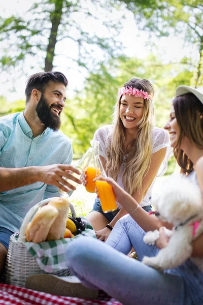 Barátok Amelyek Nagy Idő Piknik Természetben — Stock Fotó