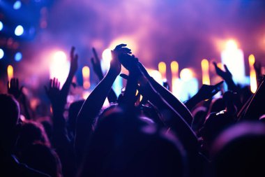 Müzik festivalinde elleri havada neşeli bir kalabalık.
