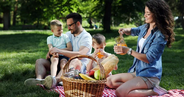 Щаслива Сім Насолоджується Пікніком Дітьми Природі — стокове фото