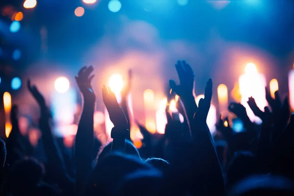 Imagem Pessoas Felizes Festival Música — Fotografia de Stock