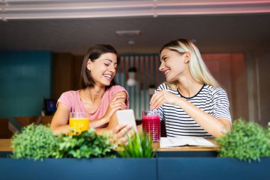 Güzel genç bayan arkadaşlar birlikte cep telefonu kullanıyor ve eğleniyorlar.