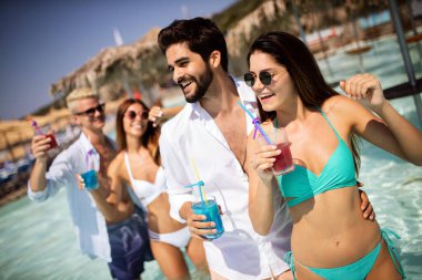 Yaz partisi. Kumsalda bir grup arkadaş kuyruk sallayıp eğleniyorlar.