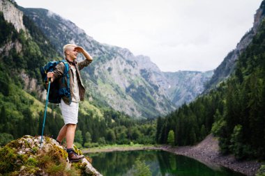 Yakışıklı erkek sırt çantalı gezgin, dağ ormanlarında geziyor..