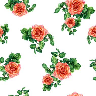 Dikişsiz desen suluboya ile boyalı gül.