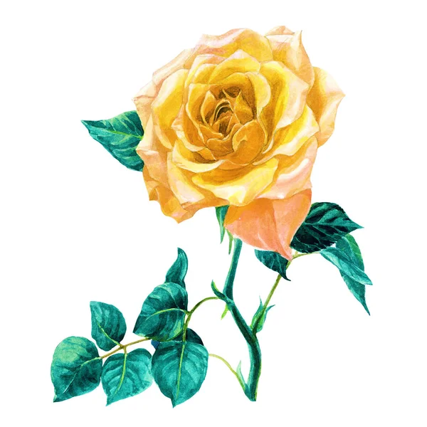 Suluboya içinde gül yaprakları ile boyalı.