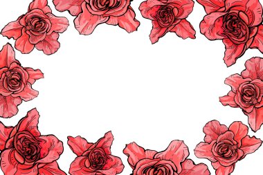 Büyük gül bir çerçeve ile kartı, botanik illüstrasyon vektör.