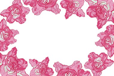 Büyük gül bir çerçeve ile kartı, botanik illüstrasyon vektör.