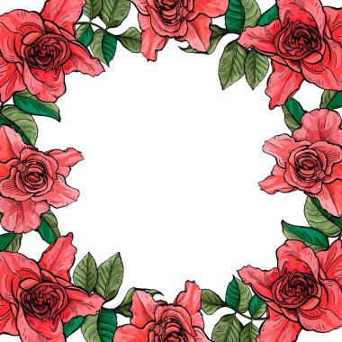 Büyük gül bir çerçeve ile kartı, botanik illüstrasyon vektör.