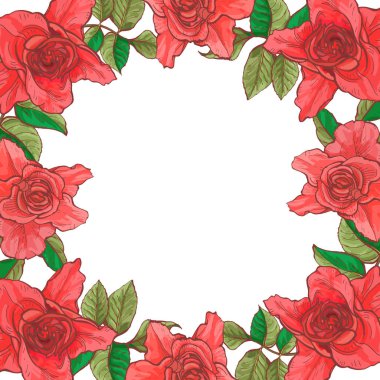 Büyük gül bir çerçeve ile kartı, botanik illüstrasyon vektör.