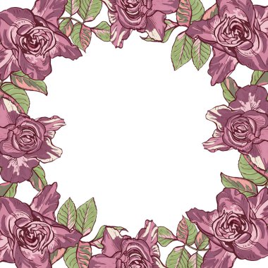 Büyük gül bir çerçeve ile kartı, botanik illüstrasyon vektör.