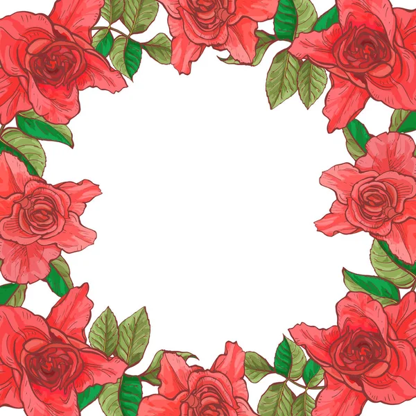 Cartão Com Uma Moldura Rosas Grandes Vetor Ilustração Botânica —  Vetores de Stock