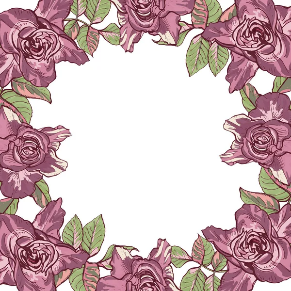 Büyük gül bir çerçeve ile kartı, botanik illüstrasyon vektör.